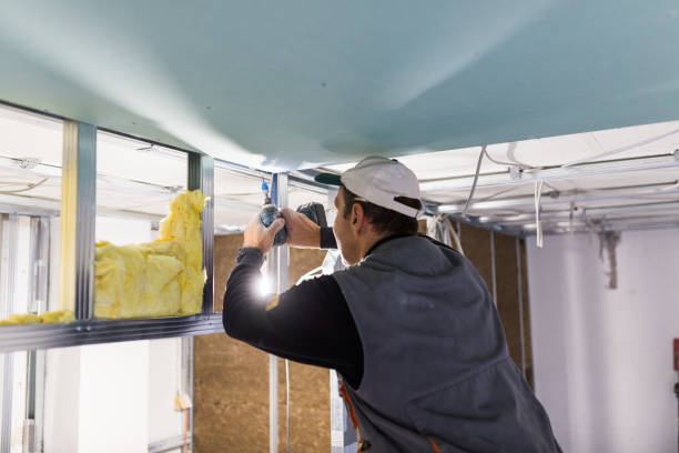 Best Insulation Maintenance and Repair in Mart, TX